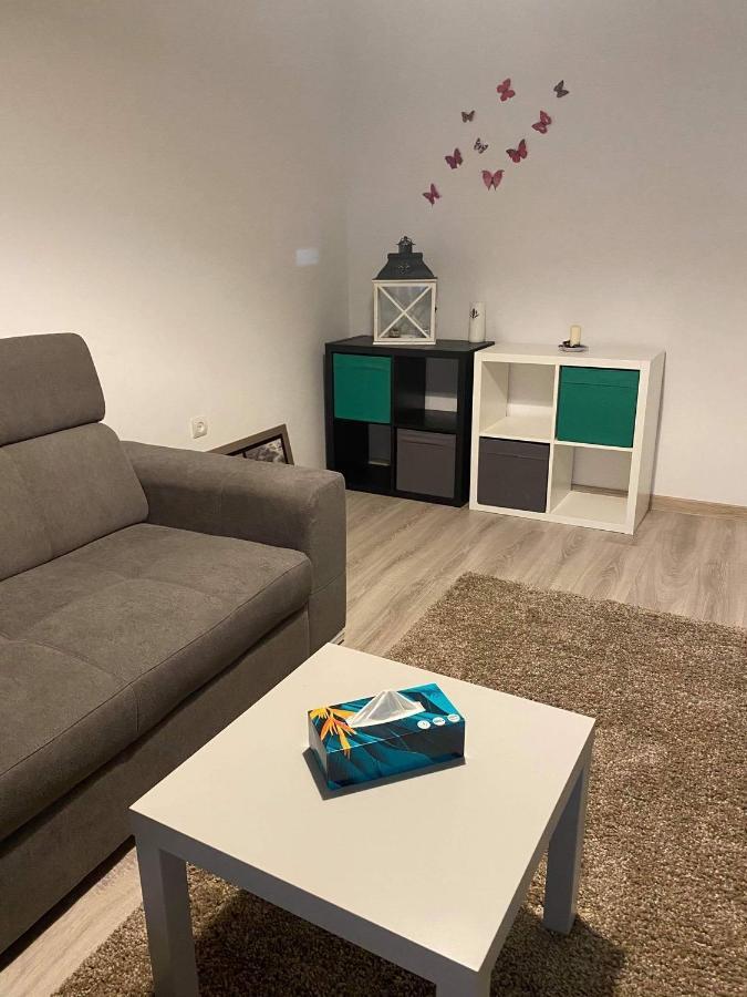 Sweet Appartament Timisoara Bagian luar foto