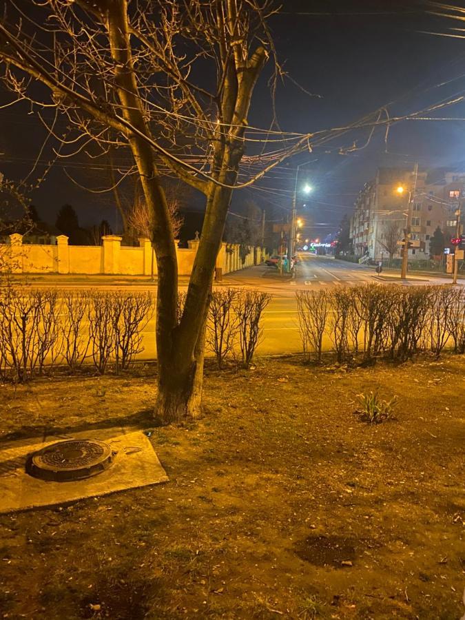 Sweet Appartament Timisoara Bagian luar foto